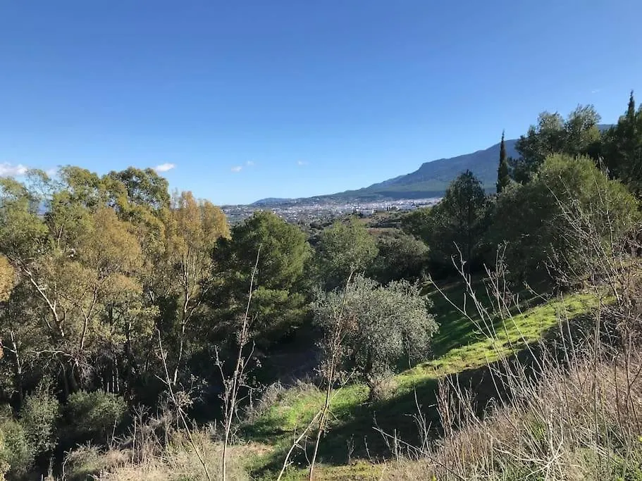 Appartamento Penthouse Apartment, Cortijo Fruitful Hills Málaga Spagna