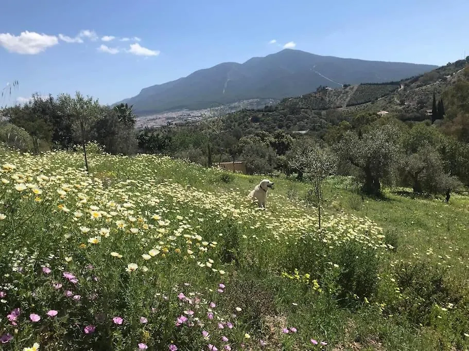 Penthouse Apartment, Cortijo Fruitful Hills Málaga Appartamento