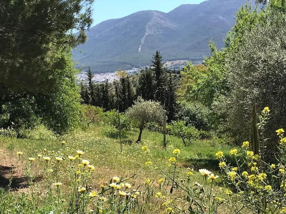 Penthouse Apartment, Cortijo Fruitful Hills Malaga Spain