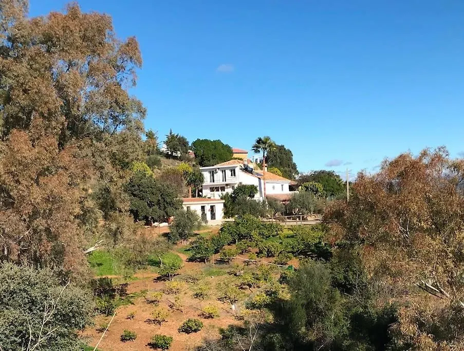 Apartment Penthouse Apartment, Cortijo Fruitful Hills Malaga